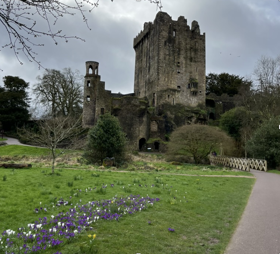 Irish Castle